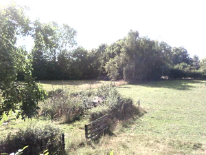 1600x1200 brillo Plus5