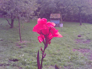 1600x1200 helderheid 0