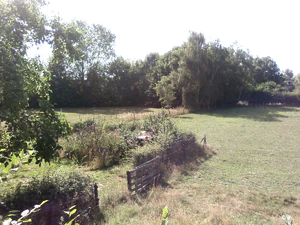 1600x1200 luminosité 2