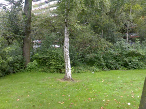 1600x1200 diverse 01