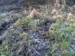 1600x1200 diverse 02