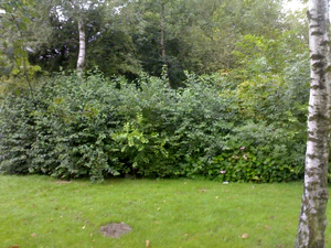 1600x1200 diverse 02