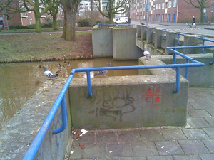 1600x1200 diverse 04