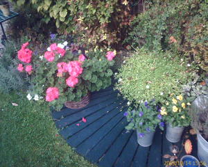 1600x1200 diverse 05