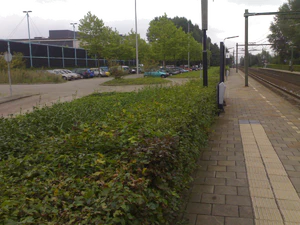 1600x1200 diverse 05