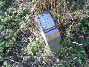 1600x1200 diverse 05