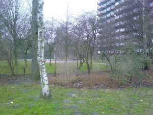 1600x1200 diverse 05