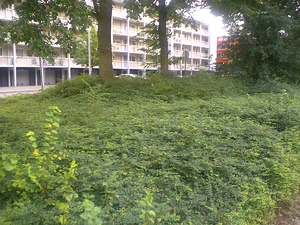 1600x1200 diverse 08