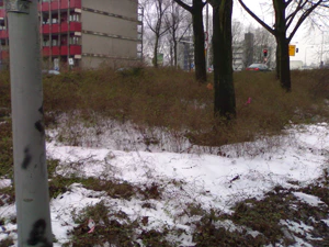 1600x1200 diverse 09