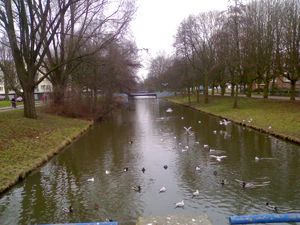 1600x1200 diverse 10