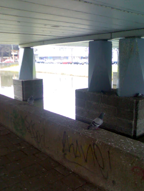 1600x1200 diverse 11