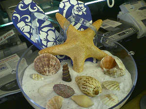 1600x1200 diverse 26