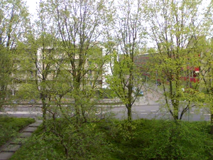 1600x1200 effect automatic