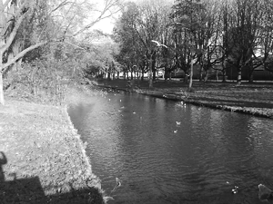 1600x1200 effect svart vit