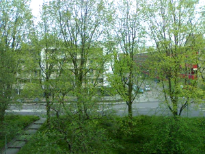 1600x1200 effect cloudy