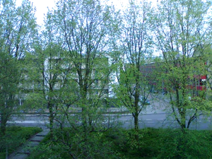 1600x1200 effect fluorescent