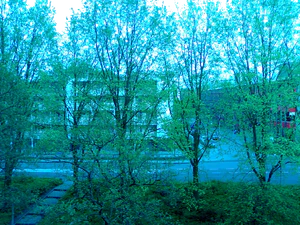 1600x1200 effect incandescent