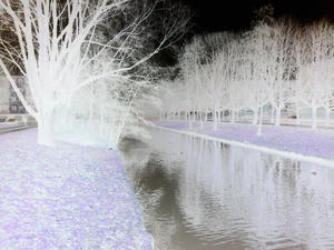 1600x1200 effect negatief