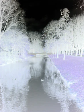 1600x1200 effect negative