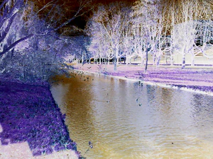 1600x1200 effect negative