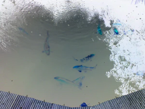 1600x1200 effect negative