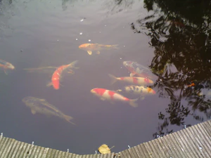 1600x1200 effect normal