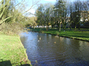 1600x1200 effect normal