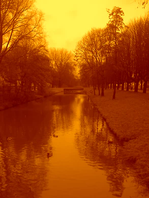 1600x1200 effect rosso dish