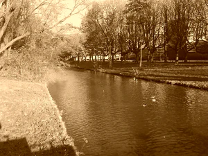 1600x1200 effect sepia