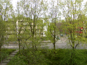 1600x1200 effect sunny