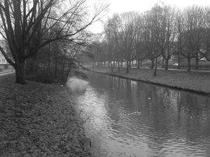 1600x1200 effect zwartwit