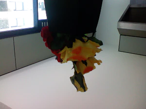 1600x1200 flip horizontaal