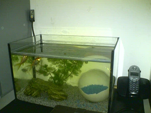 1600x1200 flitser 05