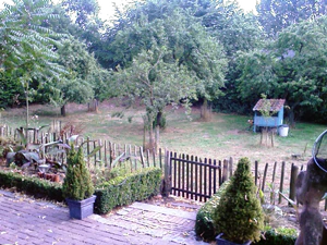 1600x1200 fluorescent 01