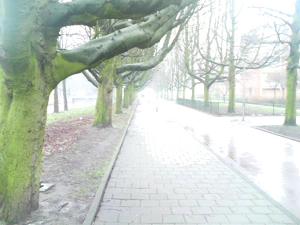 1600x1200 helderheid Plus2