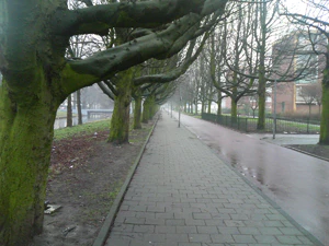 1600x1200 helderheid 0