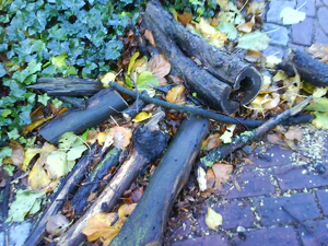 1600x1200 slumpmässig 02