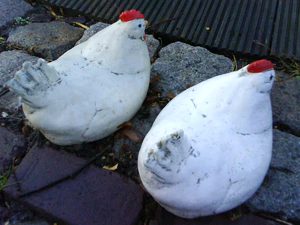 1600x1200 slumpmässig 03