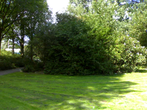 1600x1200 willekeurig 03