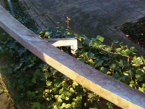 1600x1200 tilfeldig 04