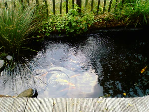 1600x1200 zufällig 04