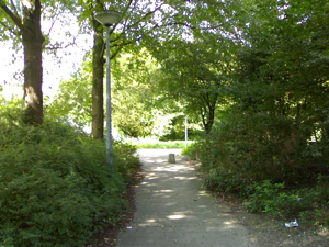 1600x1200 willekeurig 04