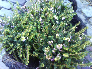 1600x1200 slumpmässig 04