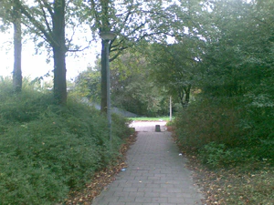 1600x1200 al azar 05