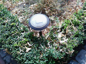 1600x1200 al azar 05