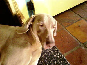 1600x1200 slumpmässig 06