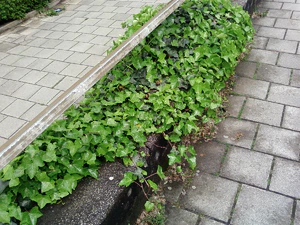 1600x1200 al azar 06