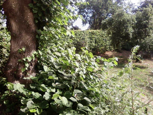 1600x1200 al azar 07