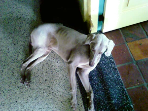 1600x1200 satunnainen 07