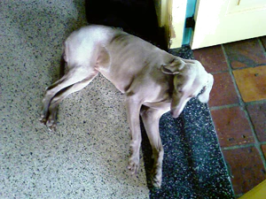 1600x1200 slumpmässig 08